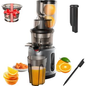 Slowjuicer - Fruit en Groente - 500ML - 200W - Koude Pers Juicer - Zwart - Met extra ijsfilter accessoires om ijs te maken