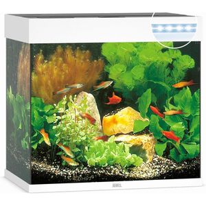 Juwel Lido 120 LED Aquarium - Wit - 120L - 61 x 41 x 58 cm