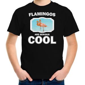 Dieren flamingo vogels t-shirt zwart kinderen - flamingos are serious cool shirt  jongens/ meisjes - cadeau shirt flamingo/ flamingo vogels liefhebber - kinderkleding / kleding 146/152