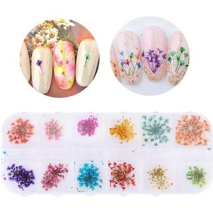 Gedroogde Bloemen voor Nail Art - 12 Kleuren Mini Gedroogde Bloemen voor Doe-het-zelf Decor (Een type vol sterren)