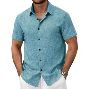 Bovista Linnen Blouse Heren - t shirt - Polo - Overhemd - Shirt - Zomer - Ibiza Stijl - Hemelsblauw - Maat L