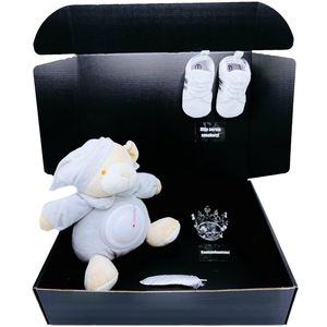 Teddybeer nachtlamp - kraamcadeau - knuffelbeer - 2 maten - 2 kleuren - rechtstreeks versturen als cadeau