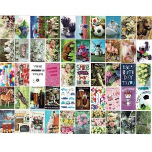 50 Luxe wenskaarten Assortie - Blanco / Verjaardag / Felicitatie - 12x17cm - Gevouwen kaarten met enveloppen