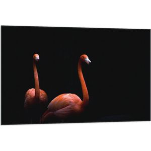 WallClassics - Vlag - Twee Flamingo's tegen Zwarte Achtergrond - 105x70 cm Foto op Polyester Vlag