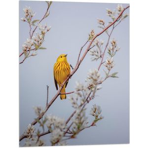 WallClassics - Vlag - Gele Vogel op Tak met Bloemen - Mangrovezanger - 60x80 cm Foto op Polyester Vlag