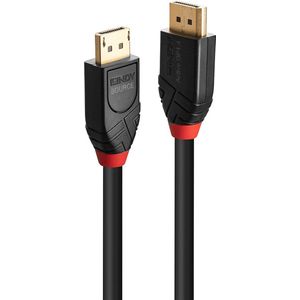LINDY 41169 DisplayPort-kabel DisplayPort Aansluitkabel DisplayPort-stekker, DisplayPort-stekker 10.00 m Zwart Vergulde