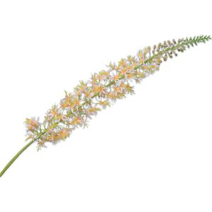Silk-ka Kunstbloem-Zijden Bloem Eremurus Steel Perzik 119 cm