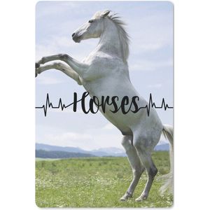 Paarden - Spreuken - Horses - Wit