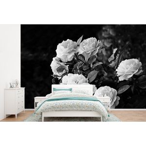 Bloemen - Zwart wit - Natuur - Planten - Rozen - Behangpapier