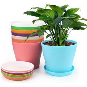 8 stuks kleurrijke grote bloempotten van 17 cm, ronde kunststof plantenpotten met pallet/dienblad, voor kantoor, balkon, leuning, 8 kleuren