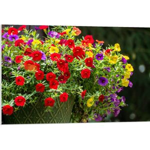 WallClassics - PVC Schuimplaat- Bloemenmadjes met Rode, Paarse en Gele Bloemen - 90x60 cm Foto op PVC Schuimplaat