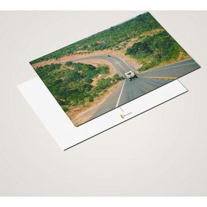 Cadeautip! Luxe ansichtkaarten set Afrika Safari 10x15 cm | 24 stuks | Wenskaarten Afrika Safari