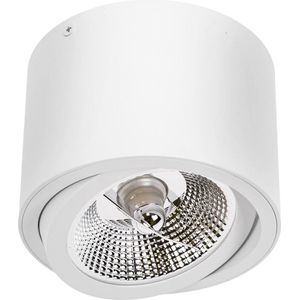 Spectrum - LED Plafondspot CHLOE - GU10 AR111 - excl. LED spot - Wit rond
