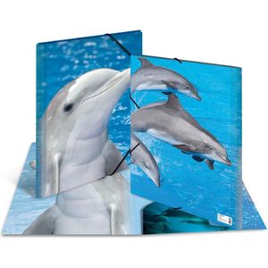 HERMA binder A3 Delfin Polypropylen