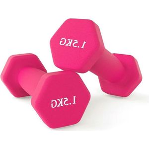 Neopreen Haltergewichten voor Thuis Gym Fitness - Set van 2 Halters (1KG) dumbbell set