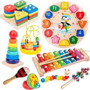 Montesorri speelgoed - Speeltuin - Houten Set - 9 in 1 - Rammelaar - Drum -Klok - Muzikale Instrumenten - Peuter