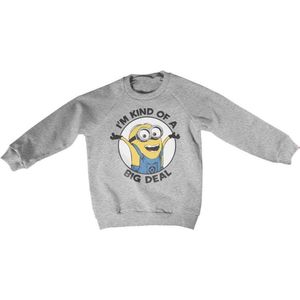 Minions Sweater/trui kids -Kids tm 6 jaar- I'm Kind Of A Big Deal Grijs