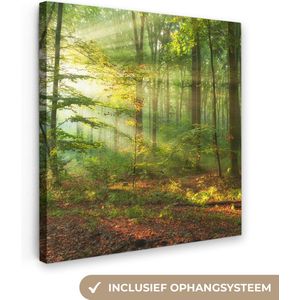 Canvas - Canvas natuur - Zon - Bladeren - Boom - Muurdecoratie - Kamer decoratie - 50x50 cm