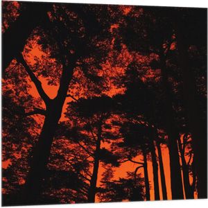 WallClassics - Vlag - Silhouet van Groep Bomen tegen Oranje Lucht - 100x100 cm Foto op Polyester Vlag