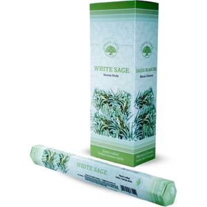 Green Tree Wierook White Sage 6 x 20ST - Voordeelverpakking