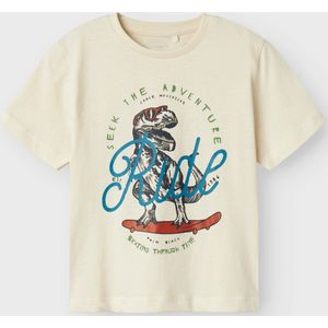 NAME IT NMMBENNIBO SS NREG TOP PB Jongens T-shirt - Birch