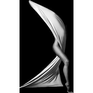 Hidden beauty – 60cm x 90cm - Fotokunst op PlexiglasⓇ incl. certificaat & garantie.