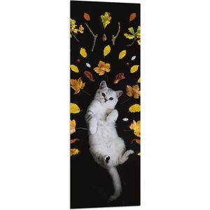 WallClassics - Vlag - Liggende Kat omringt door Blaadjes - 40x120 cm Foto op Polyester Vlag