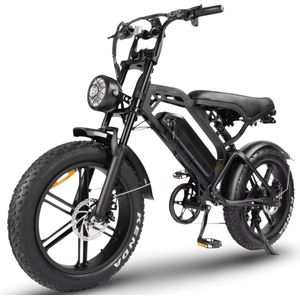 Comfort Inz V20 PRO - Fatbike - 250W - 15Ah - Hydraulische Remmen - Voor 2 personen met voetsteuntjes - GSM houder - Zwart