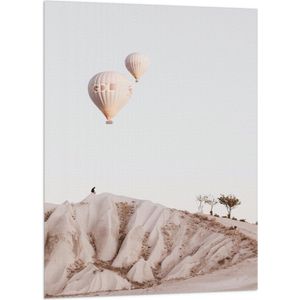 WallClassics - Vlag - Beige en Bruine Luchtballonnen boven Rotslandschap - 70x105 cm Foto op Polyester Vlag