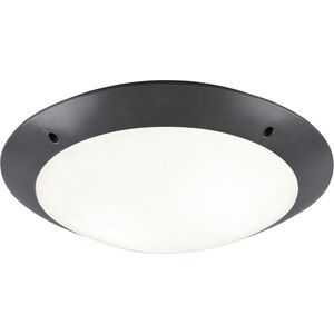 LED Plafondlamp - Torna Camiro - Opbouw Rond - Waterdicht IP54 - E27 Fitting - 2-lichts - Mat Zwart - Kunststof