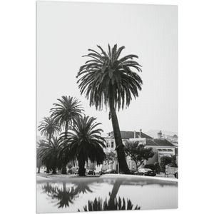 WallClassics - Vlag - Palmbomen in Amerikaanse Buurt (Zwart- wit) - 60x90 cm Foto op Polyester Vlag
