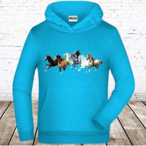 Blauwe hoodie met paarden -James & Nicholson-110/116-Hoodie meisjes