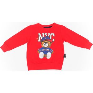 jongen set - 2 delige set - broekje - sweater - maat 80 86 92 98 104 - kinderkleding set