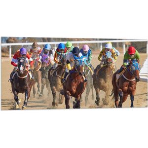WallClassics - Vlag - Paarden Race - 100x50 cm Foto op Polyester Vlag