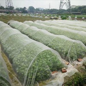 Planten Groenten Fruit Oogst Insecten bescherming net Tuinvruchtenverzorging Bloemen Broeikas beschermende Net Ongediertebestrijding Anti-Vogel 2.5X20M