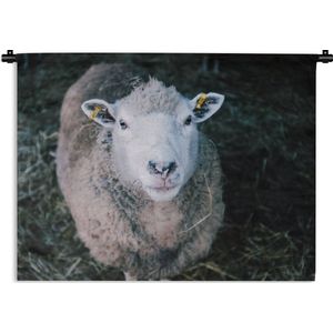 Wandkleed - Wanddoek - Schaap - Dieren - Vee - 180x135 cm - Wandtapijt