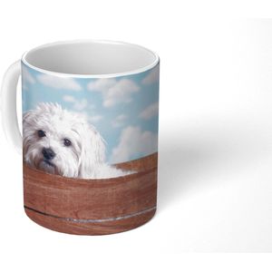 Mok - Koffiemok - Maltezer hond in een houten doos - Mokken - 350 ML - Beker - Koffiemokken - Theemok