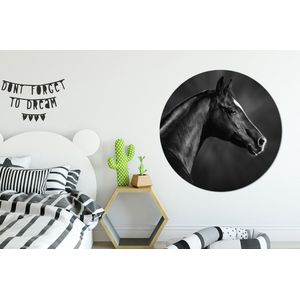 WallCircle - Behangcirkel - Zelfklevend behang - Dieren - Paard - Zwart - Wit - Grijs - ⌀ 120 cm - Behang cirkel - Behangcirkel dieren - Behangsticker