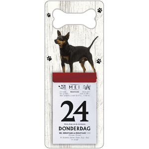 Scheurkalender 2024 Hond: Dwergpincher