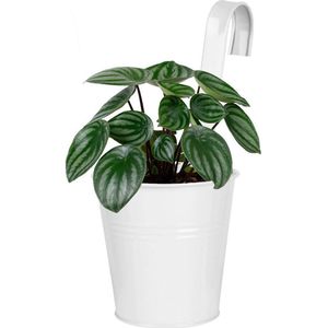 Balkon Bloempot Metaal Wit 13,5 cm - Plantenpot - Planten - Plantenbak - Bloembak