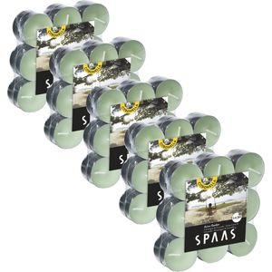 SPAAS Kaarsen - Citronella Theelichtjes - Sfeervolle Waxinelichtjes - Asian Garden - 90 Stuks - ± 4,5 Branduren - Voordeelverpakking