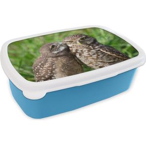 Broodtrommel Blauw - Lunchbox - Brooddoos - Uilen - Vogels - Gras - 18x12x6 cm - Kinderen - Jongen