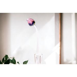 Tulp Multicolor Roze - Glazen Tulpen - Bloemen - Tulpen van Glas - Roos van Glas - Glazen Bloemen