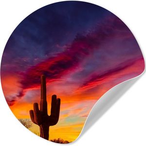 WallCircle - Behangcirkel - Cactus - Zonsondergang - Paars - Natuur - Zelfklevend behang - 50x50 cm - Cirkel behang - Behangcirkel zelfklevend - Behang rond - Cirkel behang