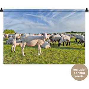 Wandkleed Schaap - Net geschoren kudde schapen Wandkleed katoen 90x60 cm - Wandtapijt met foto