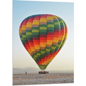 WallClassics - Vlag - Meerkleurige Luchtballon Geland op Woestijn - 70x105 cm Foto op Polyester Vlag