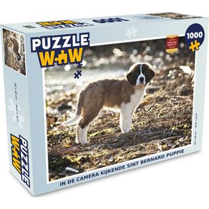 Puzzel In de camera kijkende Sint Bernard puppie - Legpuzzel - Puzzel 1000 stukjes volwassenen