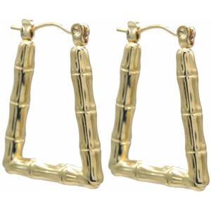 Oorbellen - Oorringen - RVS - 2,5 cm - Goudkleurig