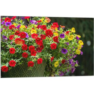 WallClassics - Vlag - Bloemenmadjes met Rode, Paarse en Gele Bloemen - 90x60 cm Foto op Polyester Vlag