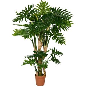 Pottery Pots - Kunstplant Philodendron L - H160cm - Indoor - Green